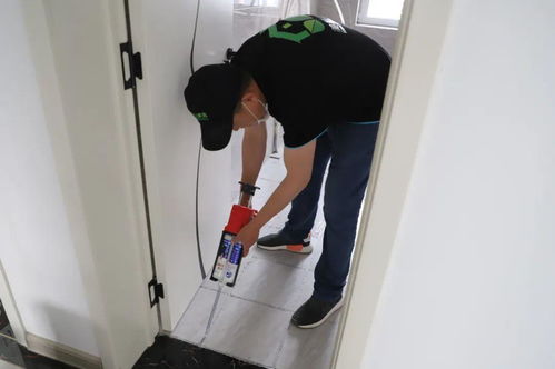 專業(yè)家政，品質(zhì)保障——莒縣美家美邦，您的貼心保潔專家